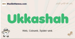 Ukkashah muslim boys name and meaning, islamic boys name Ukkashah