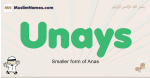 Unays muslim boys name and meaning, islamic boys name Unays