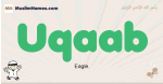 Uqaab muslim boys name and meaning, islamic boys name Uqaab