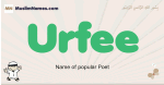 Urfee muslim boys name and meaning, islamic boys name Urfee