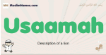Usaamah muslim boys name and meaning, islamic boys name Usaamah