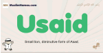 Usaid muslim boys name and meaning, islamic boys name Usaid