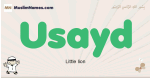 Usayd muslim boys name and meaning, islamic boys name Usayd