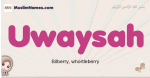 Uwaysah muslim girls name and meaning, islamic girls name Uwaysah