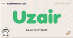 Uzair muslim boys name and meaning, islamic boys name Uzair