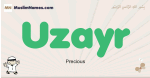 Uzayr muslim boys name and meaning, islamic boys name Uzayr