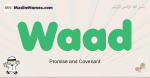 Waad muslim boys name and meaning, islamic boys name Waad