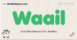Waail muslim boys name and meaning, islamic boys name Waail