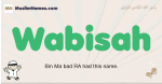 Wabisah muslim boys name and meaning, islamic boys name Wabisah