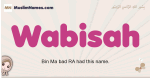 Wabisah muslim girls name and meaning, islamic girls name Wabisah
