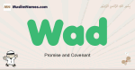Wad muslim boys name and meaning, islamic boys name Wad