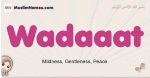 Wadaaat muslim girls name and meaning, islamic girls name Wadaaat