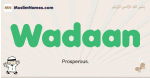 Wadaan muslim boys name and meaning, islamic boys name Wadaan