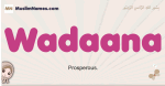Wadaana muslim girls name and meaning, islamic girls name Wadaana