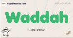 Waddah muslim boys name and meaning, islamic boys name Waddah