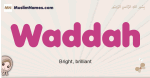 Waddah muslim girls name and meaning, islamic girls name Waddah