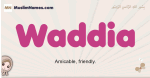Waddia muslim girls name and meaning, islamic girls name Waddia