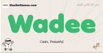 Wadee muslim boys name and meaning, islamic boys name Wadee