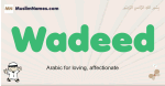 Wadeed muslim boys name and meaning, islamic boys name Wadeed
