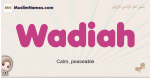 Wadiah muslim girls name and meaning, islamic girls name Wadiah