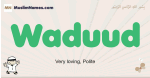 Waduud muslim boys name and meaning, islamic boys name Waduud