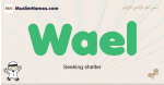 Wael muslim boys name and meaning, islamic boys name Wael
