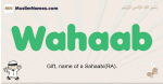 Wahaab muslim boys name and meaning, islamic boys name Wahaab