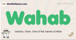 Wahab muslim boys name and meaning, islamic boys name Wahab