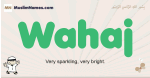 Wahaj muslim boys name and meaning, islamic boys name Wahaj