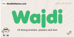 Wajdi muslim boys name and meaning, islamic boys name Wajdi