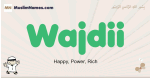 Wajdii muslim boys name and meaning, islamic boys name Wajdii