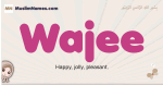 Wajee muslim girls name and meaning, islamic girls name Wajee