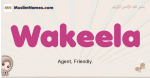 Wakeela muslim girls name and meaning, islamic girls name Wakeela
