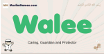 Walee muslim boys name and meaning, islamic boys name Walee