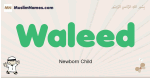 Waleed muslim boys name and meaning, islamic boys name Waleed