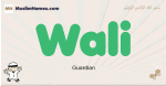 Wali muslim boys name and meaning, islamic boys name Wali