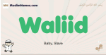 Waliid muslim boys name and meaning, islamic boys name Waliid