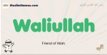 Waliullah muslim boys name and meaning, islamic boys name Waliullah