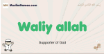 Waliy-allah muslim boys name and meaning, islamic boys name Waliy-allah