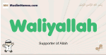 Waliyallah muslim boys name and meaning, islamic boys name Waliyallah