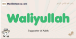 Waliyullah muslim boys name and meaning, islamic boys name Waliyullah