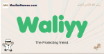 Waliyy muslim boys name and meaning, islamic boys name Waliyy