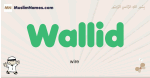 Wallid muslim boys name and meaning, islamic boys name Wallid