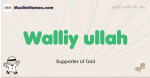 Walliy-ullah muslim boys name and meaning, islamic boys name Walliy-ullah