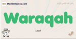 Waraqah muslim boys name and meaning, islamic boys name Waraqah