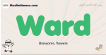 Ward muslim boys name and meaning, islamic boys name Ward
