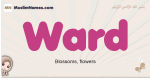 Ward muslim girls name and meaning, islamic girls name Ward