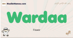 Wardaa muslim boys name and meaning, islamic boys name Wardaa