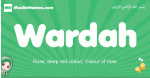 Wardah arabic girl name and meaning, quranic girls name Wardah