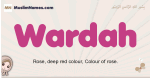 Wardah muslim girls name and meaning, islamic girls name Wardah
